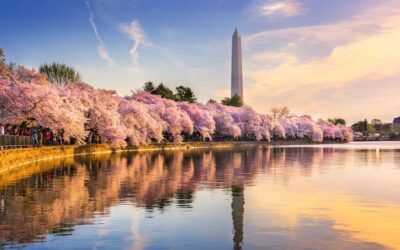 D.C. & Suburban Maryland 2026 Q1 Multifamily Market Report